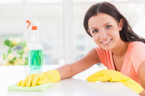 Professional one off cleaning service in a Queens Park home