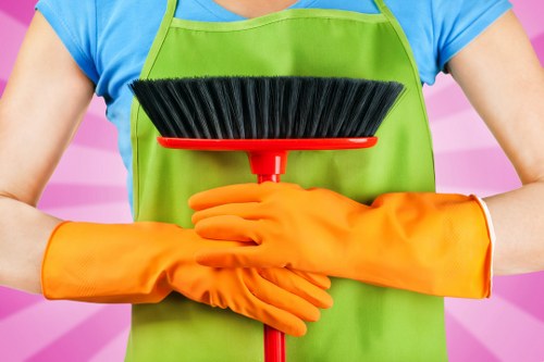 Professional hard floor cleaning service in a Queens Park home hallway