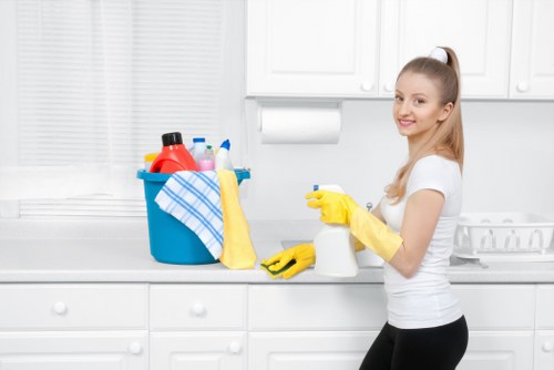 Professional oven cleaning service for homes in Queens Park