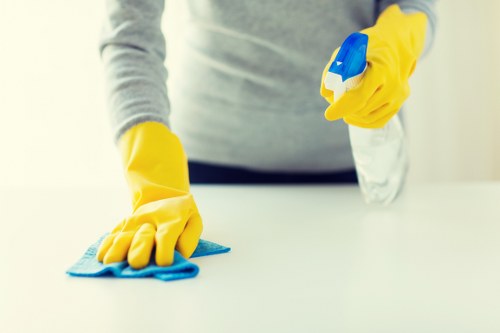 Detailed kitchen cleaning for a flat in Queens Park